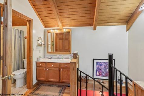 213 Treetop Lane Davis WV 26260