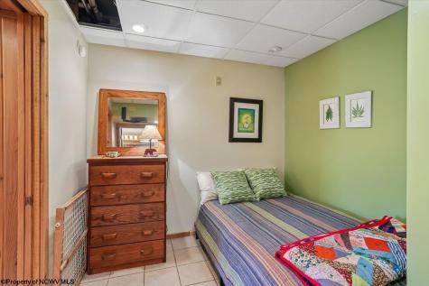 213 Treetop Lane Davis WV 26260
