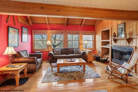 213 Treetop Lane Davis WV 26260