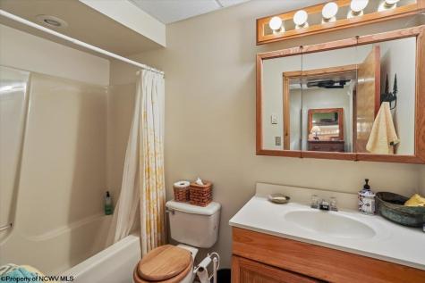 213 Treetop Lane Davis WV 26260