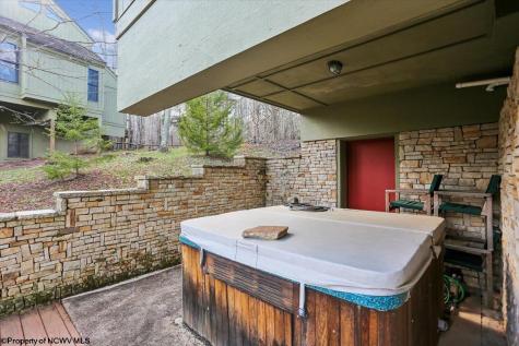 213 Treetop Lane Davis WV 26260