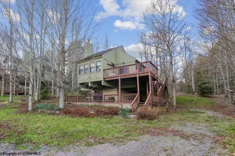 213 Treetop Lane Davis WV 26260