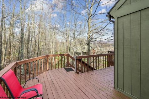 213 Treetop Lane Davis WV 26260