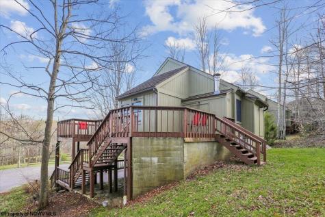 213 Treetop Lane Davis WV 26260