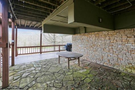 213 Treetop Lane Davis WV 26260