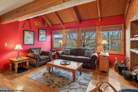 213 Treetop Lane Davis WV 26260