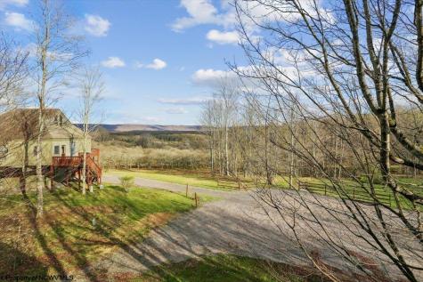 213 Treetop Lane Davis WV 26260