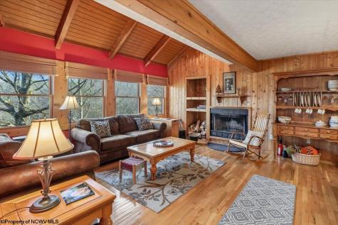 213 Treetop Lane Davis WV 26260