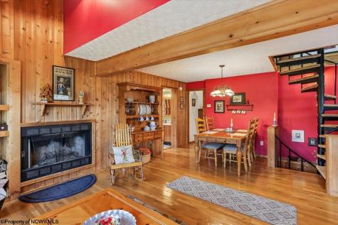 213 Treetop Lane Davis WV 26260