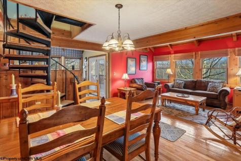 213 Treetop Lane Davis WV 26260