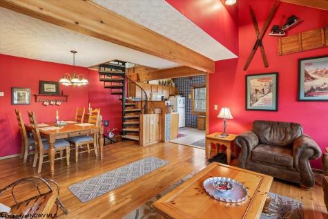 213 Treetop Lane Davis WV 26260