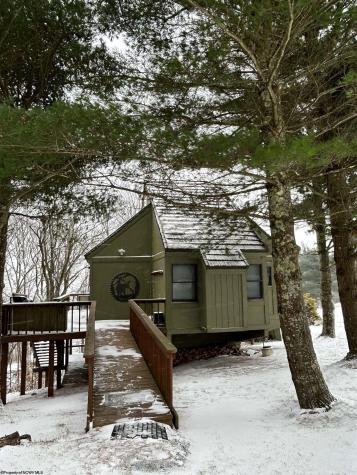 123 Wildflower Way Davis WV 26260