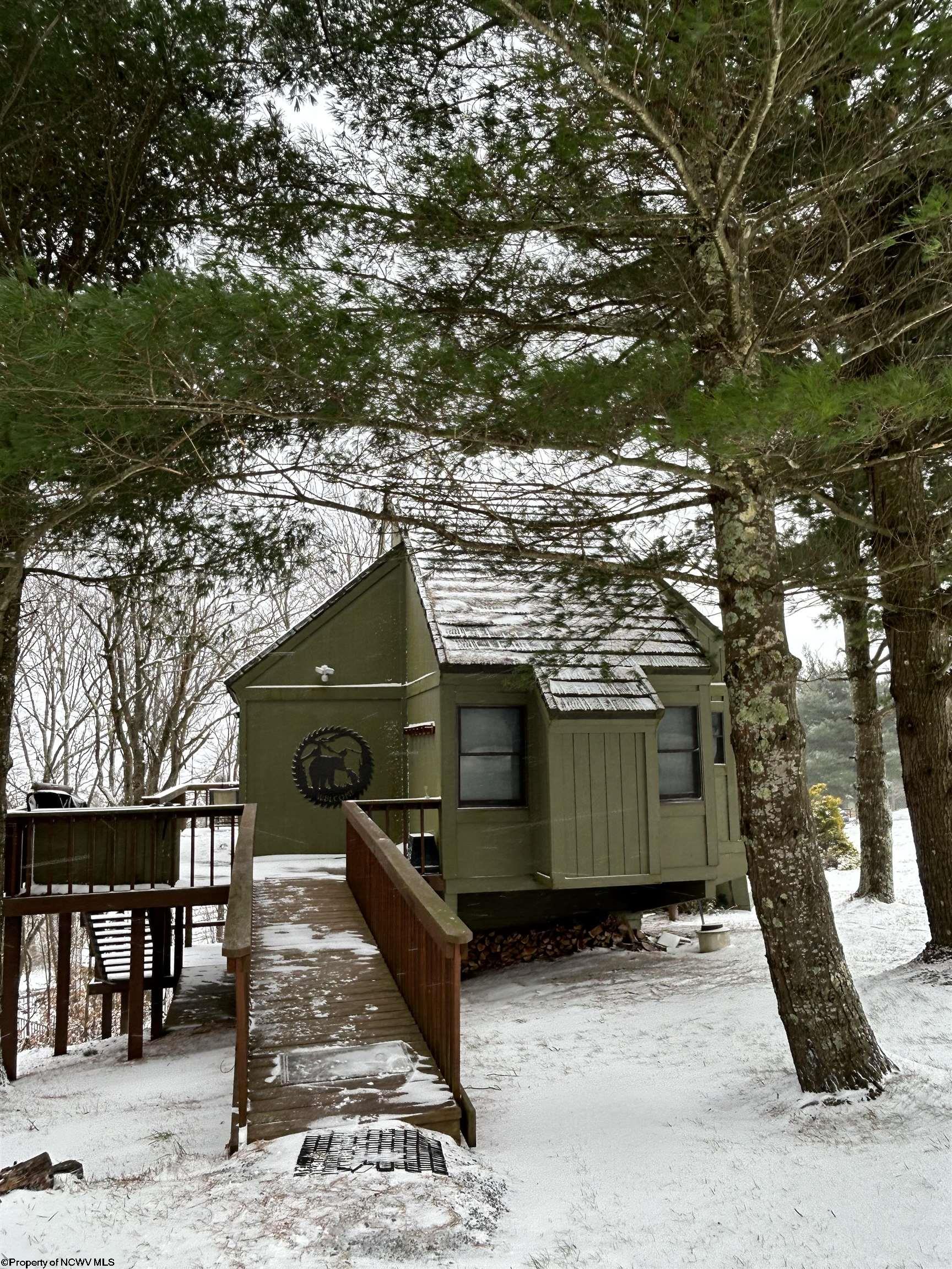 123 Wildflower Way Davis WV 26260