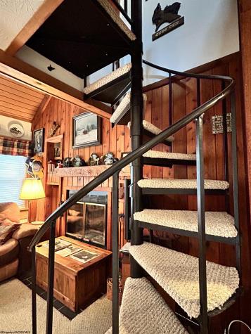 123 Wildflower Way Davis WV 26260