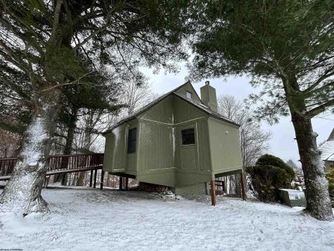 123 Wildflower Way Davis WV 26260