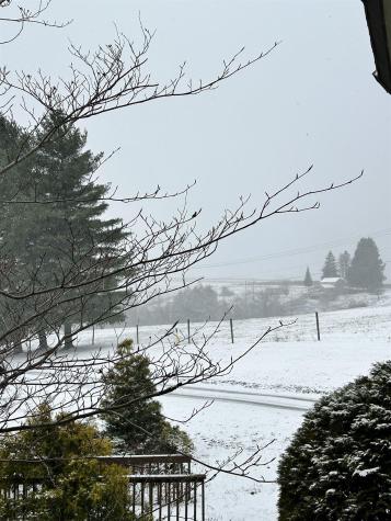 123 Wildflower Way Davis WV 26260