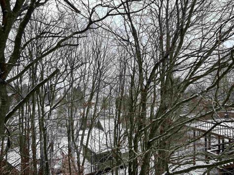 123 Wildflower Way Davis WV 26260