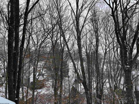 123 Wildflower Way Davis WV 26260