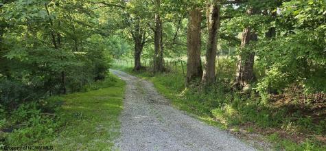 98 Wolford Ln Lane Dryfork WV 26263