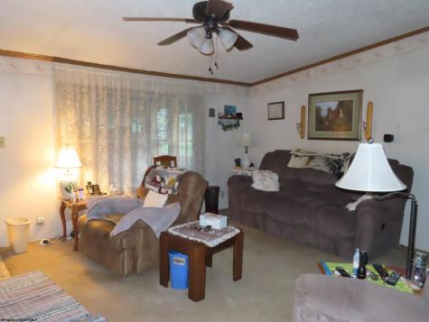 98 Wolford Ln Lane Dryfork WV 26263