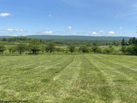 184 Osprey Way Davis WV 26260