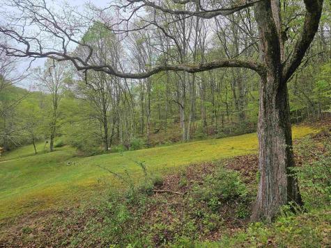 402 Battle Run Road Wallace WV 26448