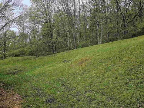 402 Battle Run Road Wallace WV 26448