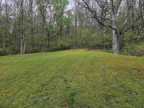 402 Battle Run Road Wallace WV 26448