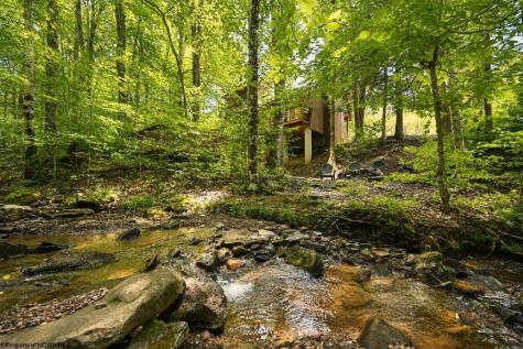 195 Brookside Road Davis WV 26260