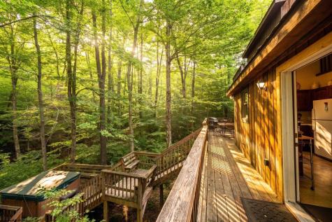 195 Brookside Road Davis WV 26260