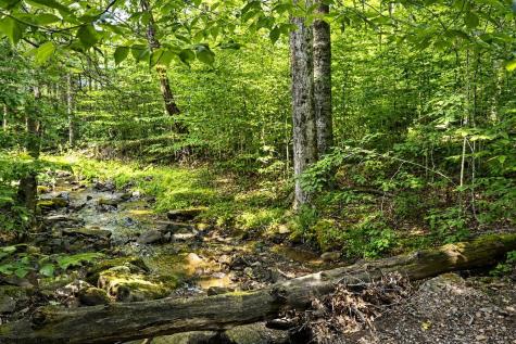 195 Brookside Road Davis WV 26260
