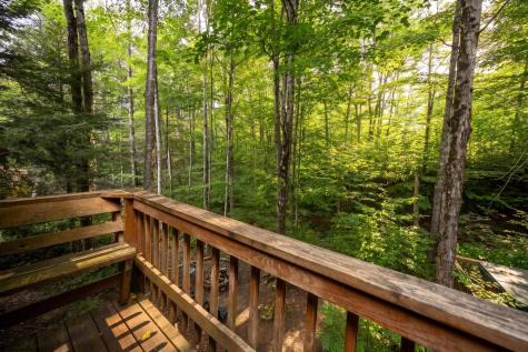195 Brookside Road Davis WV 26260
