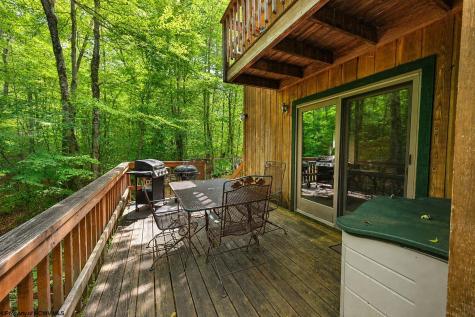 195 Brookside Road Davis WV 26260