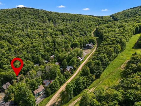 195 Brookside Road Davis WV 26260