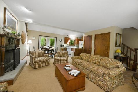 195 Brookside Road Davis WV 26260