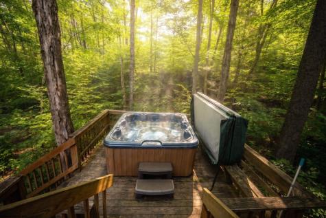 195 Brookside Road Davis WV 26260