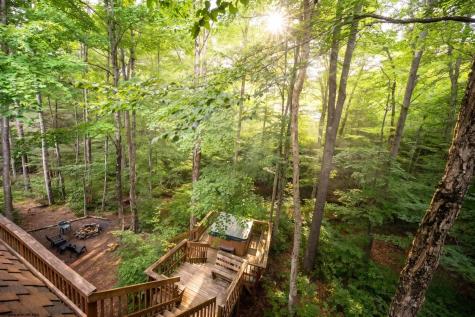 195 Brookside Road Davis WV 26260