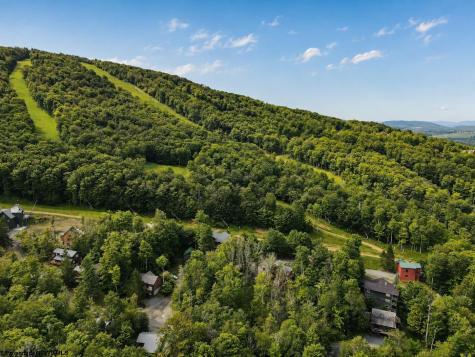 195 Brookside Road Davis WV 26260