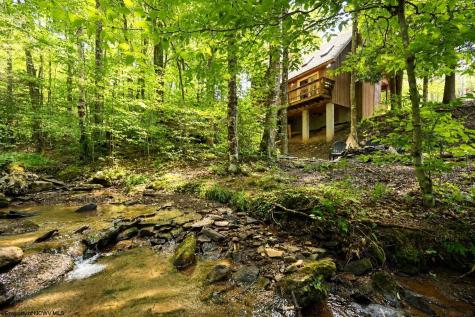 195 Brookside Road Davis WV 26260