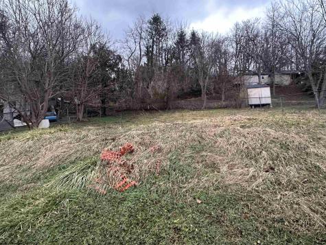 318 Broad Street Weston WV 26452