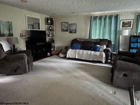 108 Cedarstone Lane Elkins WV 26241