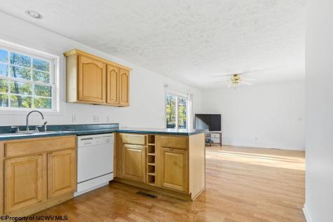 46 Oakridge Lane Bridgeport WV 26330-0000