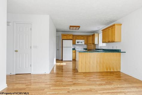 46 Oakridge Lane Bridgeport WV 26330-0000