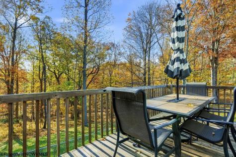 46 Oakridge Lane Bridgeport WV 26330-0000