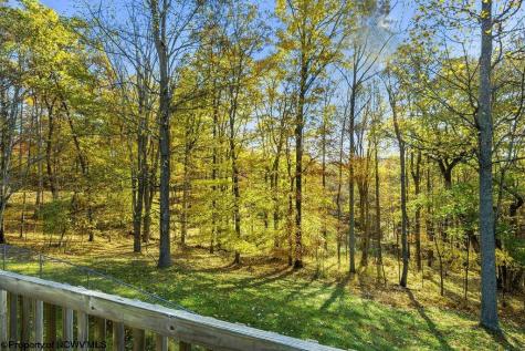 46 Oakridge Lane Bridgeport WV 26330-0000