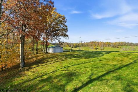 46 Oakridge Lane Bridgeport WV 26330-0000