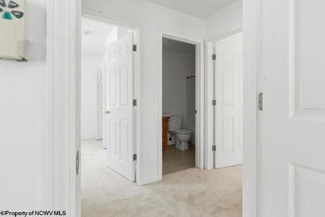 46 Oakridge Lane Bridgeport WV 26330-0000