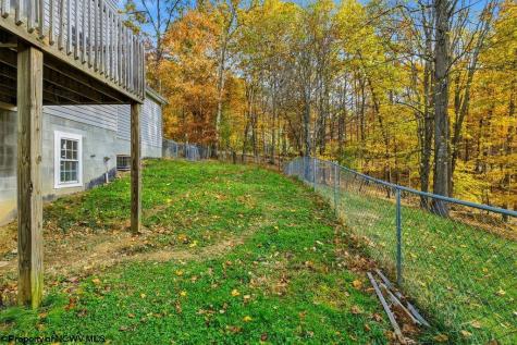 46 Oakridge Lane Bridgeport WV 26330-0000