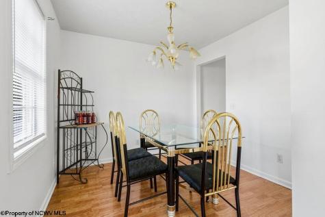 46 Oakridge Lane Bridgeport WV 26330-0000