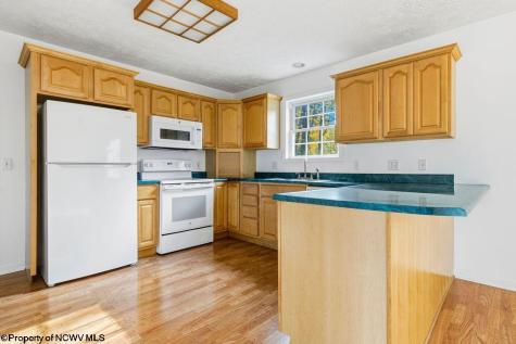 46 Oakridge Lane Bridgeport WV 26330-0000